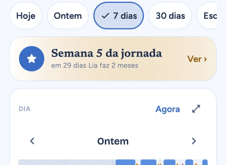 The Summary (in Portuguese): Today, Yesterday, 7 and 30 days, and the day band with sleep, feeds and diapers.